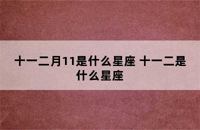 十一二月11是什么星座 十一二是什么星座